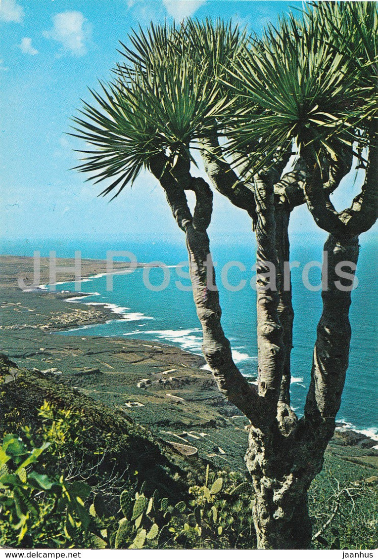 Tenerife - Costa Norte - 2433 - Spain - unused - JH Postcards