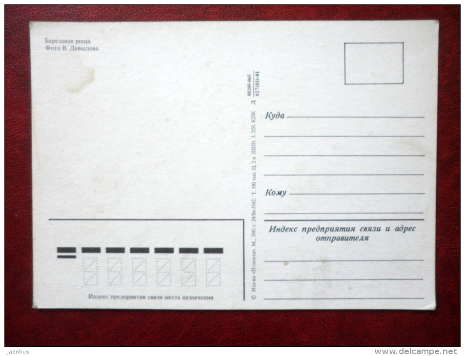 birchwood - nature - 1981 - Russia USSR - unused - JH Postcards