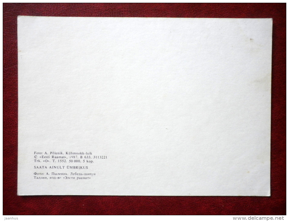 Mute Swan - Cygnus olor - birds - 1987 - Estonia - USSR - unused - JH Postcards