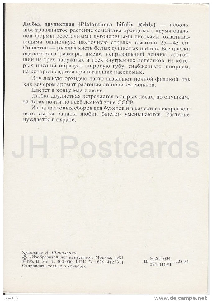 Lesser Butterfly-Orchid - Platanthera bifolia - Plants under protection - 1981 - Russia USSR - unused - JH Postcards