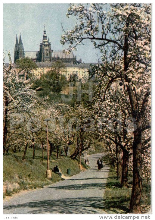 Springtime in Seminary Garden - Praha - Prague - Czechoslovakia - Czech - used - JH Postcards