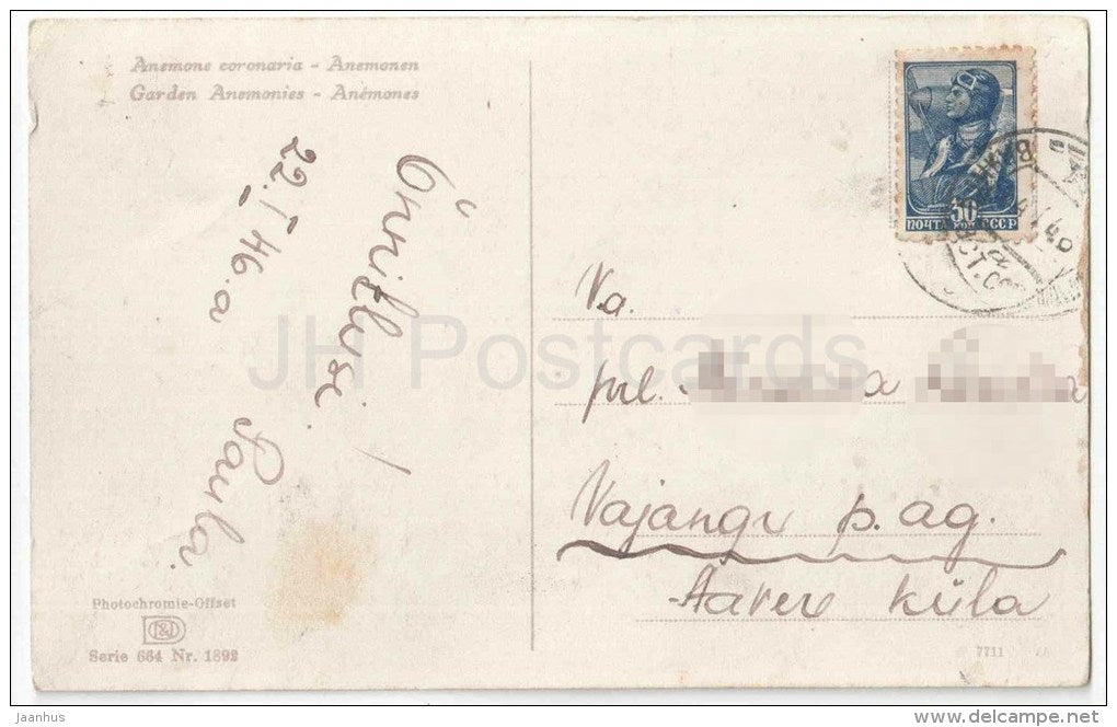 Anemone Coronaria - Garden Anemonies - flowers - Photochromie - Serie 664 Nr. 1892 - circulated in Estonia 1946 - JH Postcards