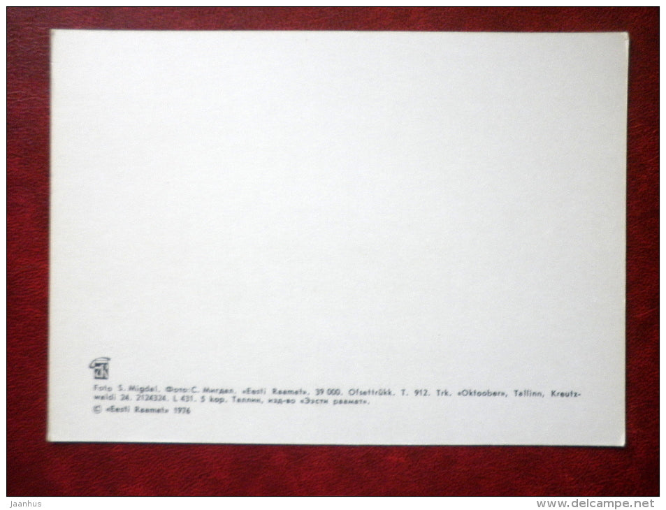 Narva and Ivangorod castles - Narva - 1976 - Estonia USSR - unused - JH Postcards