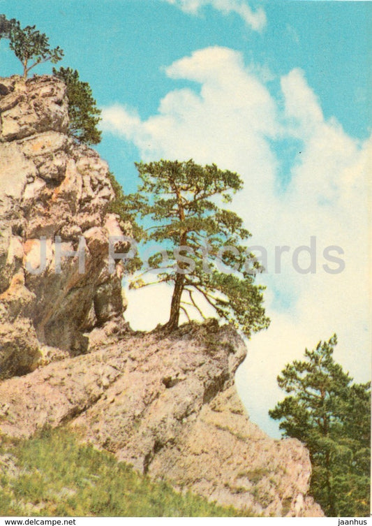 Black mountain - Crimea Nature Reserve - 1969 - Ukraine USSR -  unused - JH Postcards