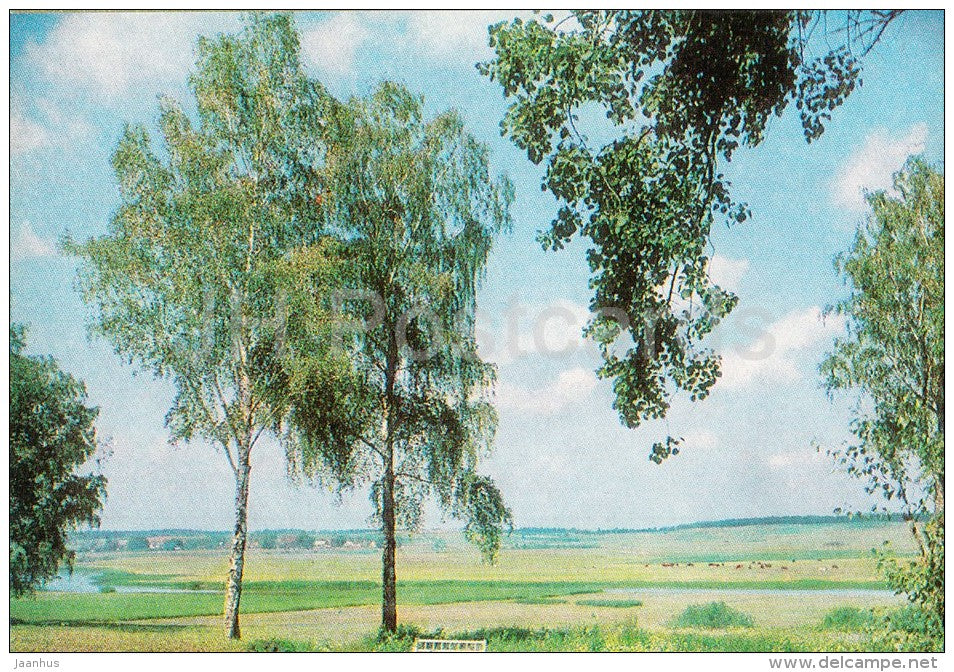 Mikhailovskoye , A View - Pushkin State Museum - 1982 - Russia USSR - unused - JH Postcards