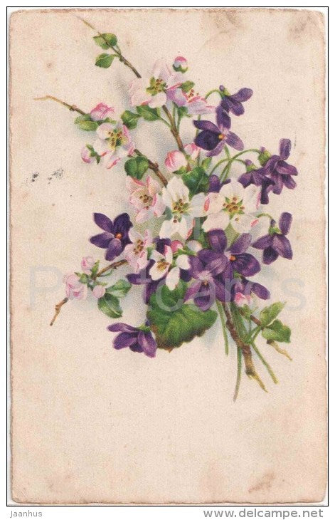 flowers - EAS - 990 - old postcard - circulated in Estonia Võru Häädemeeste 1928 - JH Postcards