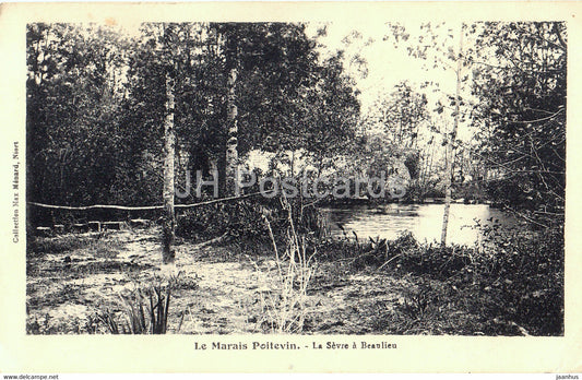 Le Marais Poitevin - La Sevre a Beaulieu - old postcard - 1945 - France - used - JH Postcards