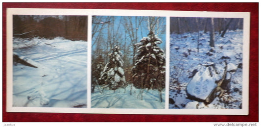 Kedrovaya Pad Nature Reserve - winter in the forest - 1984 - Russia USSR - unused - JH Postcards