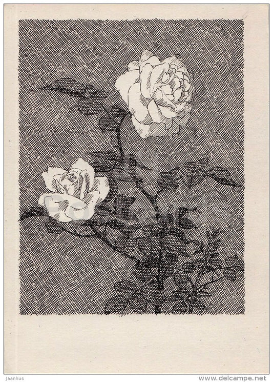 illustration by G. Gavrilenko - Roses - flowers - 1967 - Ukraine USSR - unused - JH Postcards