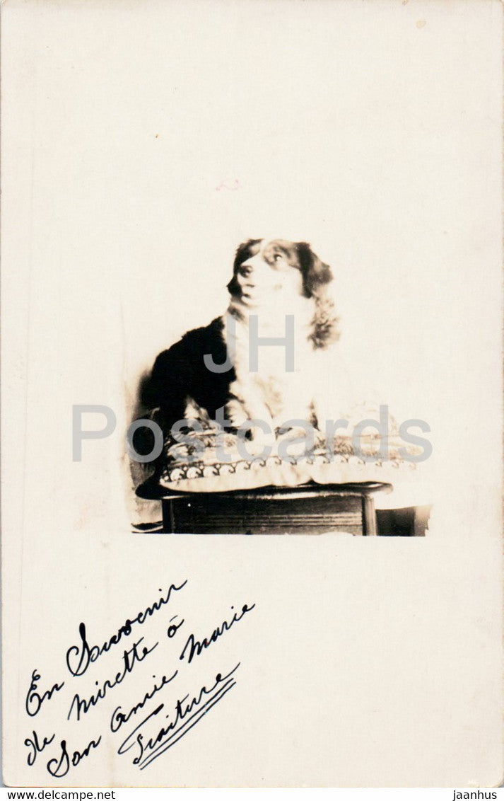 dog - animal - old postcard - France - unused - JH Postcards