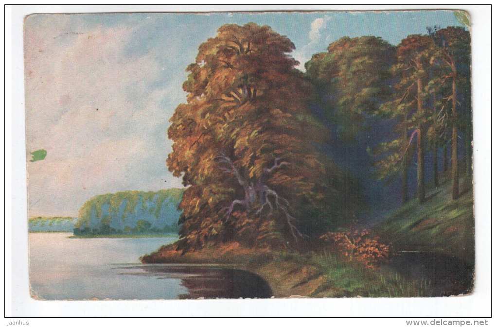 illustration - trees , lake - Amag - old postcard - circulated in Estonia 1924 , Pärnu - used - JH Postcards