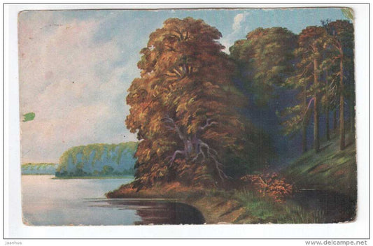 illustration - trees , lake - Amag - old postcard - circulated in Estonia 1924 , Pärnu - used - JH Postcards