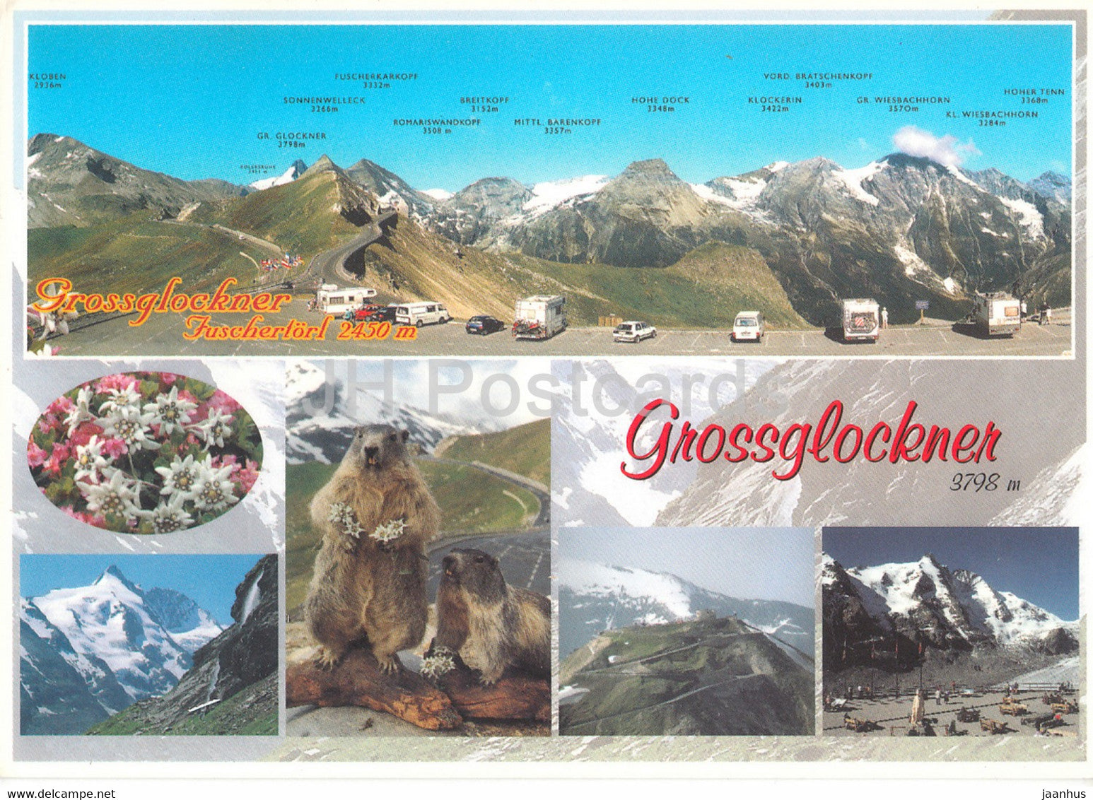Grossglockner - Fuschertorl 2450 m - Murmeltiere - Edelweissspitze - Marmot - animals - 2002 - Austria - used - JH Postcards