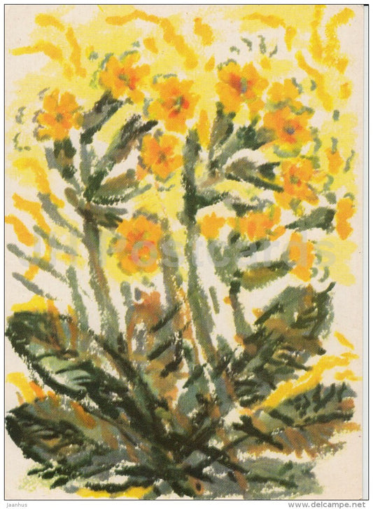 illustration by A. Jõers - Cowslip - flowers - 1983 - Estonia USSR - used - JH Postcards