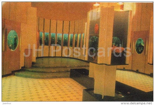 Amber Museum - Palanga - 1981 - Lithuania USSR - unused - JH Postcards