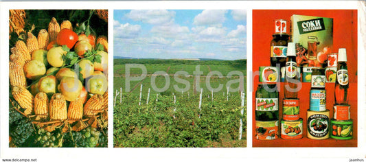 gifts from the Moldovan region - vineyards - products of the Tiraspol Cannery - apple - 1985 - Moldova USSR - unused