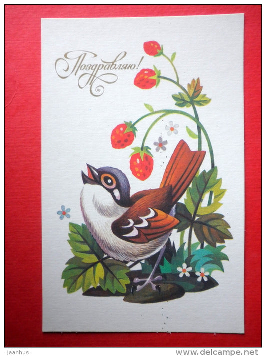 Greeting Card - by S. Peshekhonov - bird - strawberry - 1987 - Russia USSR - unused - JH Postcards