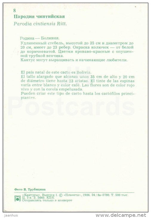 Parodia cintiensis - cactus - flowers - 1984 - Russia USSR - unused - JH Postcards
