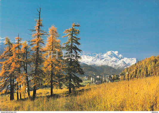 Silvaplana 1815 m - Piz La Margna - 1994 - Switzerland - used - JH Postcards