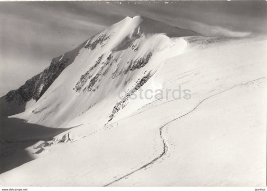 Alpi Venoste - Otzhaler Alpen - Similaun 3607 m - 1978 -  Italy - Italia - used - JH Postcards