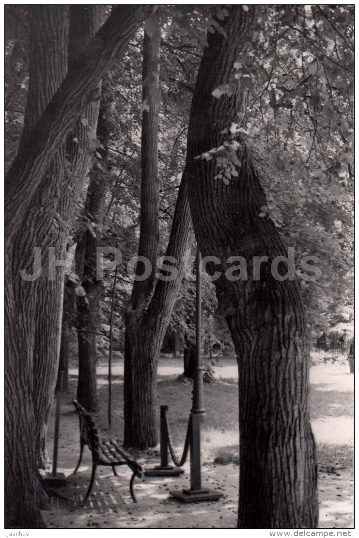 Park Alley - Lenin House Museum in Gorki - Gorki Leninskiye - 1957 - Russia USSR - unused - JH Postcards