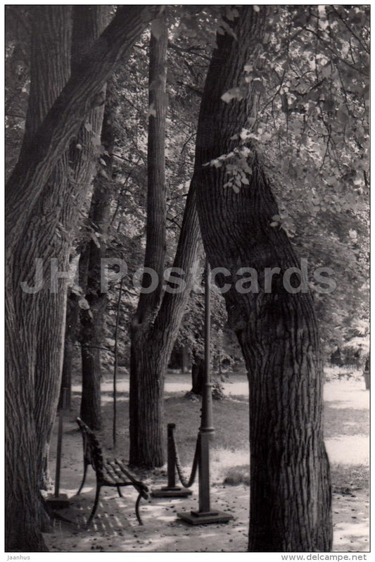 Park Alley - Lenin House Museum in Gorki - Gorki Leninskiye - 1957 - Russia USSR - unused - JH Postcards