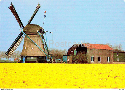 house - windmill - 1989 - Netherlands - used - JH Postcards