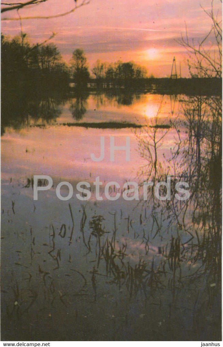 Belovezhskaya Pushcha National Park - Spring flood at sunset - 1981 - Berarus USSR - unused - JH Postcards