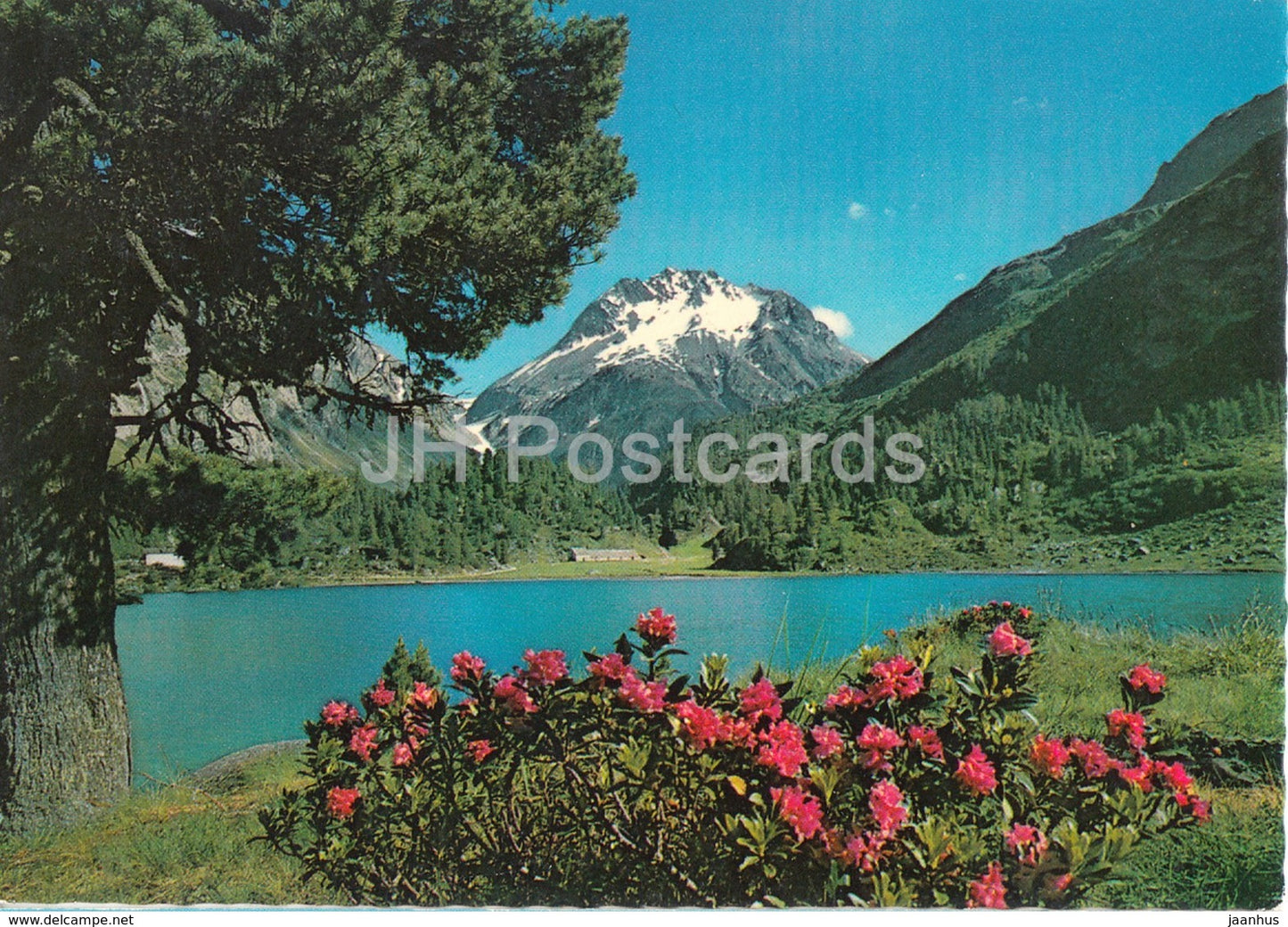Am Cavlocciosee bei Maloja - Oberengadin - 48 - Switzerland - unused - JH Postcards