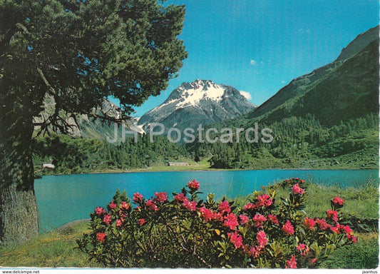 Am Cavlocciosee bei Maloja - Oberengadin - 48 - Switzerland - unused - JH Postcards