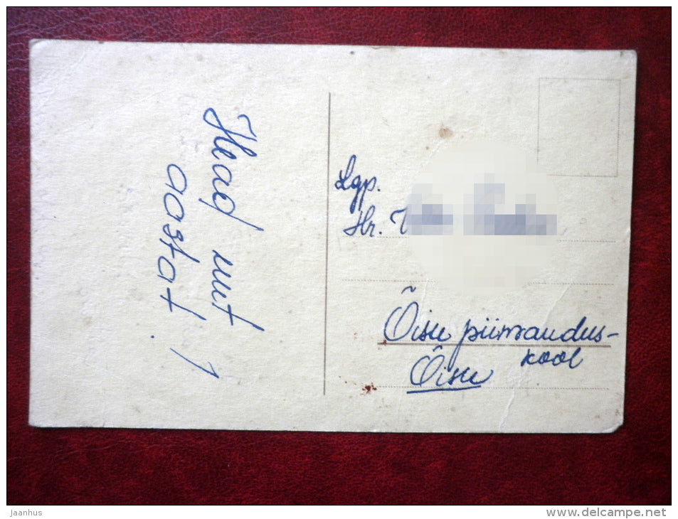 Greeting Card - boy with violin - fiddler - old postcard - Estonia - used - JH Postcards