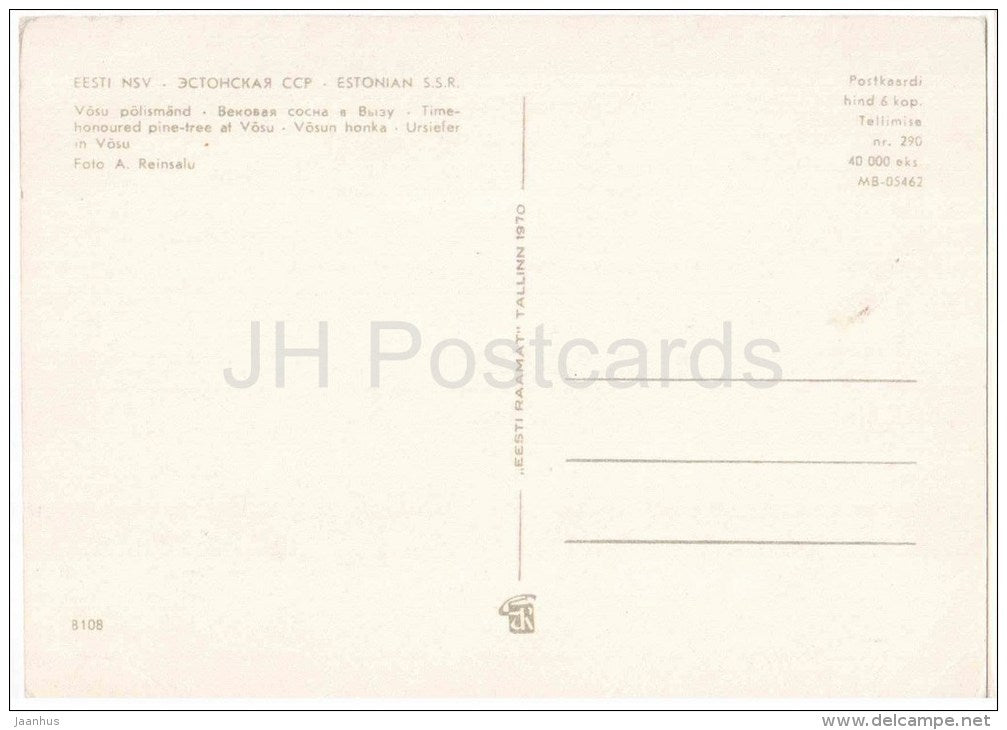 Time-Honoured Pine-Tree at Võsu - 1970 - Estonia USSR - unused - JH Postcards