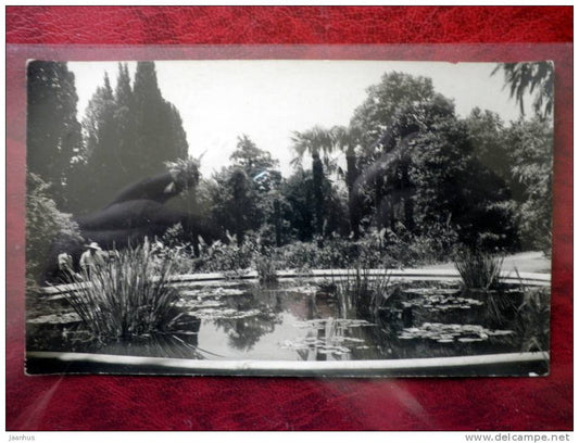 Crimea - Krym - Nikitsky Botanical Garden - 1950 - Ukraine - USSR - unused - JH Postcards
