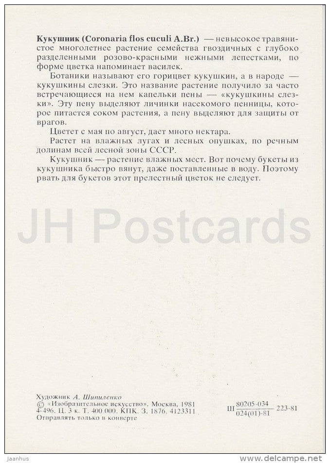 Coronaria flos-cuculi - Plants under protection - 1981 - Russia USSR - unused - JH Postcards