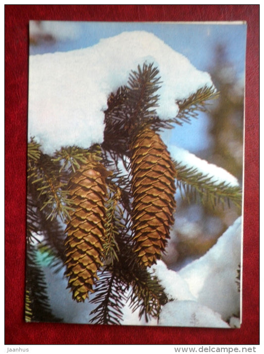 New Year Greeting card - fir cones - 1987 - Estonia USSR - used - JH Postcards
