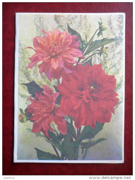 telegram - red flowers - flowers - 1975 - Russia USSR - unused - JH Postcards