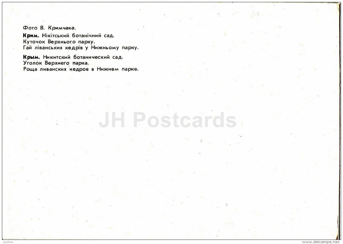 Corner in the Upper Park - grove of Lebanese cedars - Nikitsky Botanical Garden - 1991 - Ukraine USSR - unused - JH Postcards