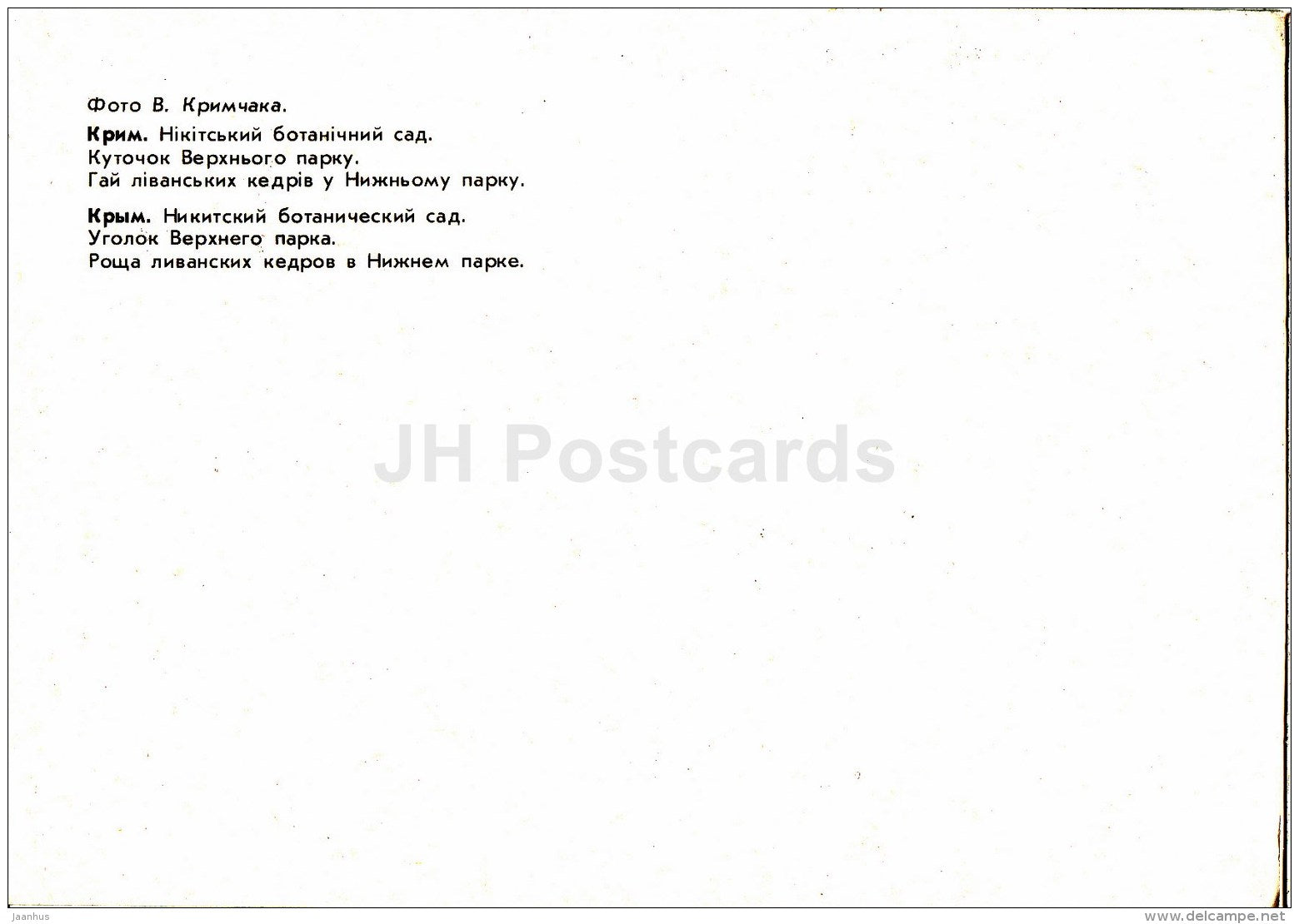 Corner in the Upper Park - grove of Lebanese cedars - Nikitsky Botanical Garden - 1991 - Ukraine USSR - unused - JH Postcards