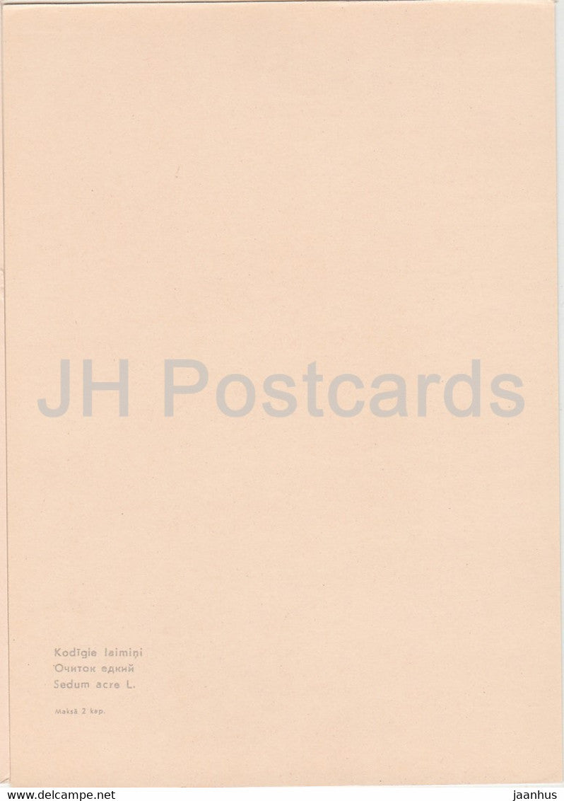 Goldmoss stonecrop - Sedum acre - plants - flowers - Latvia USSR - unused