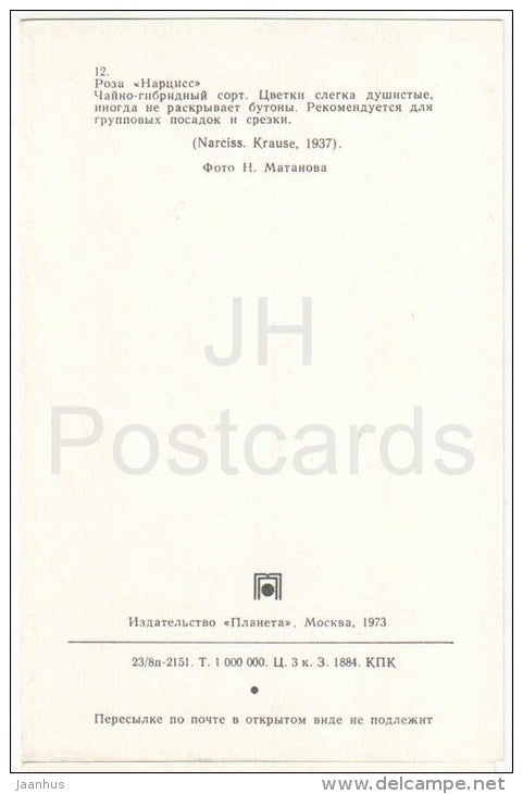 Narciss - flowers - Roses - Russia USSR - 1973 - unused - JH Postcards