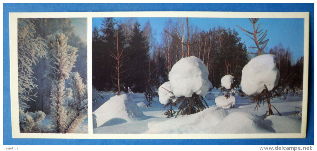 winter forest - Moscow Oblast - Podmoskovye - 1977 - Russia USSR - unused - JH Postcards