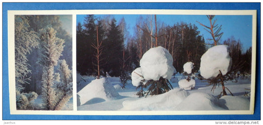 winter forest - Moscow Oblast - Podmoskovye - 1977 - Russia USSR - unused - JH Postcards