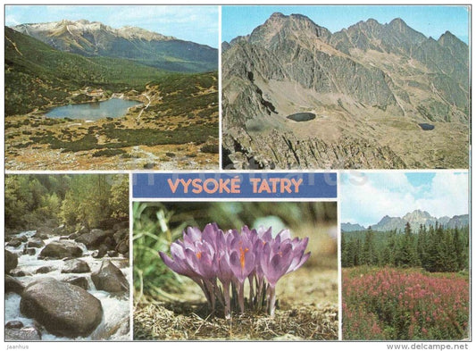 mountains - flowers - river - lake - Vysoke Tatry - High Tatras - Czechoslovakia - Slovakia - used 1986 - JH Postcards