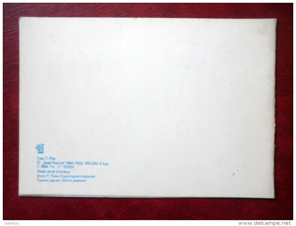 New Year Greeting card - belt of folk costume - Estonian zither - 1984 - Estonia USSR - used - JH Postcards