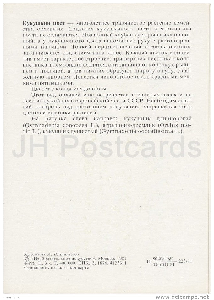 Ragged-Robin - Plants under protection - 1981 - Russia USSR - unused - JH Postcards