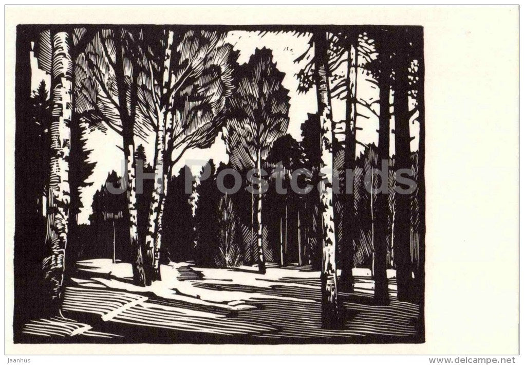engraving by. A. Ushin - Landscape - Pavlovsk Park - 1969 - Russia USSR - unused - JH Postcards