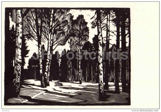 engraving by. A. Ushin - Landscape - Pavlovsk Park - 1969 - Russia USSR - unused - JH Postcards