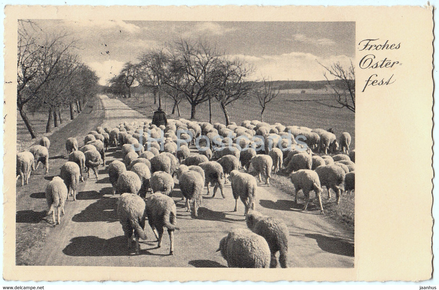Easter Greeting Card - Frohes Osterfest - sheep - Feldpost - old postcard - 1941 - Germany - used - JH Postcards