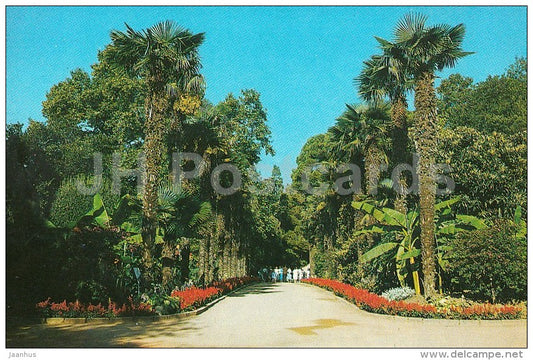 Palm Alley in the Lower Park - Nikitsky Botanical Garden - Crimea - 1989 - Ukraine USSR - unused - JH Postcards