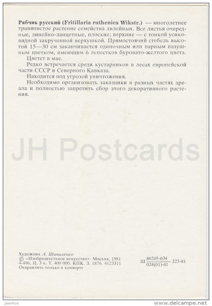Fritillaria ruthenica - Plants under protection - 1981 - Russia USSR - unused - JH Postcards